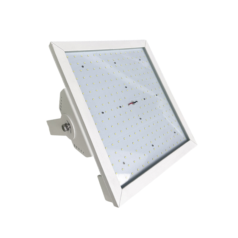 Flood Light
