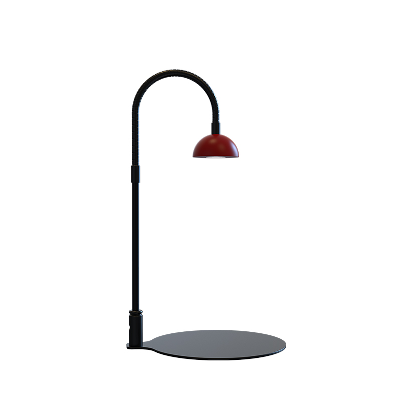 Terrarium Desk Lamp